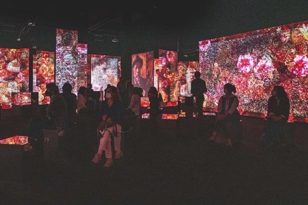 Grands Écrans de Projection pour Projection Immersive