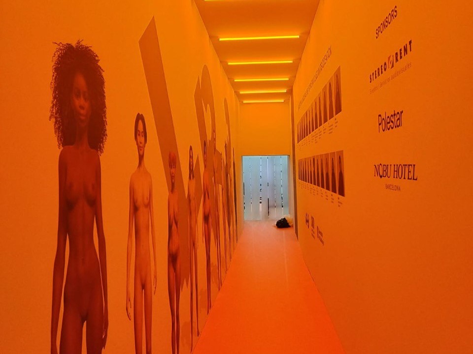 Rooms for Immersive Projection